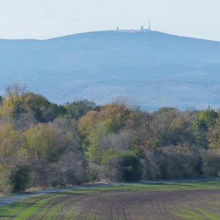 Ferienwohnung Mit Brockenblick Langenstein Екстер'єр фото