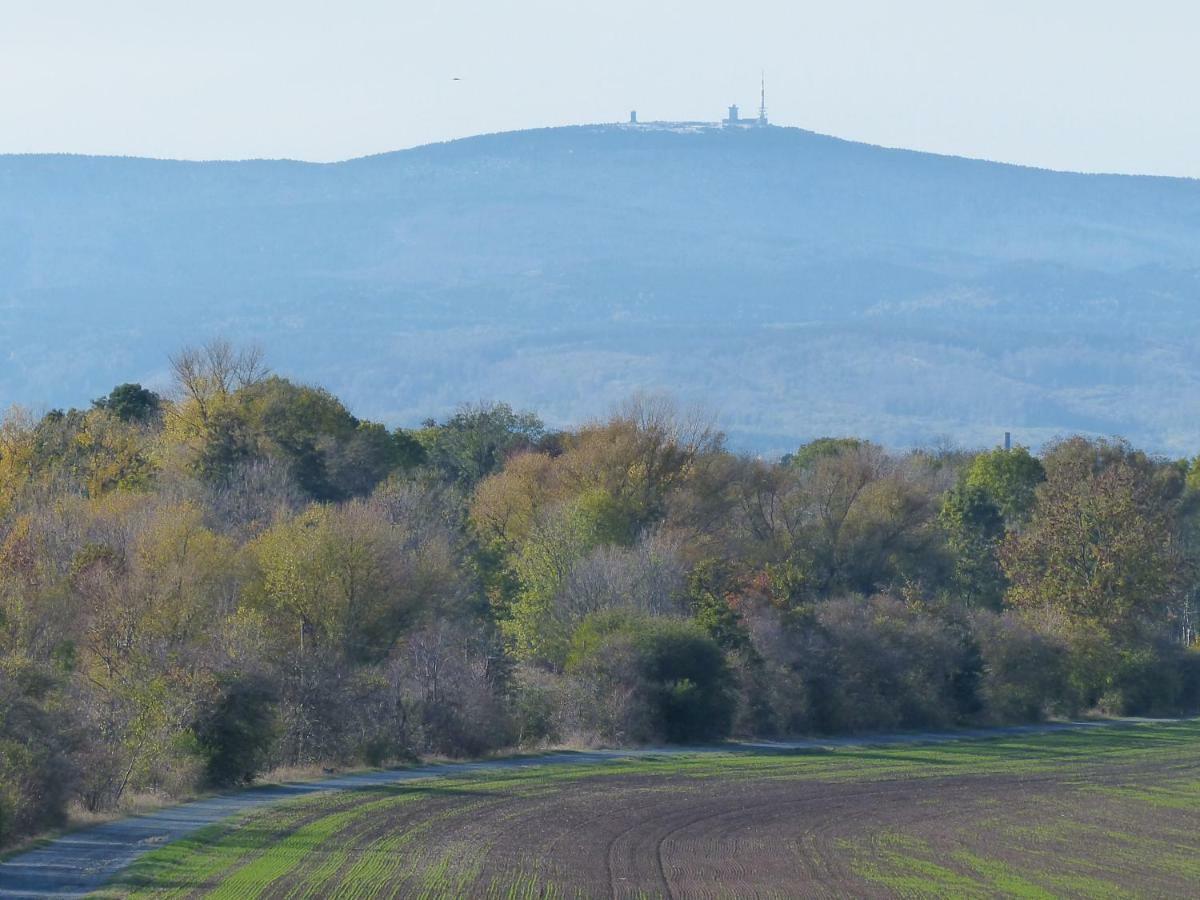Ferienwohnung Mit Brockenblick Langenstein Екстер'єр фото